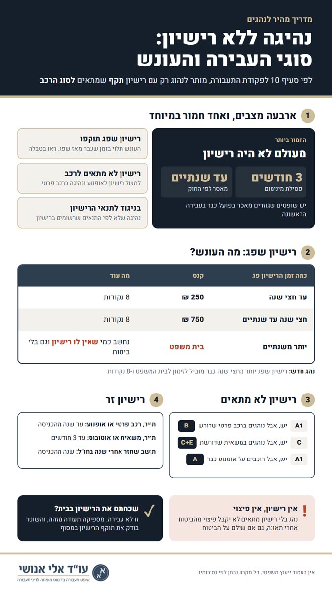 נהיגה ללא רישיון - אינפוגרפיקה