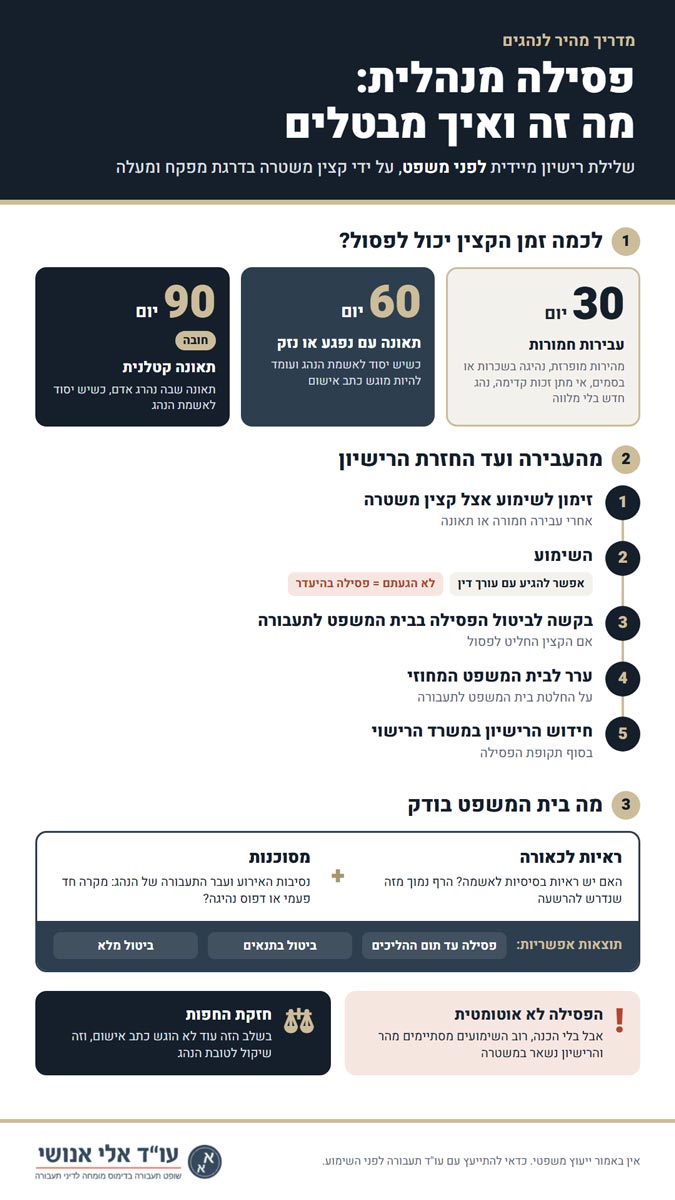 פסילה מנהלית אינפוגרפיקה