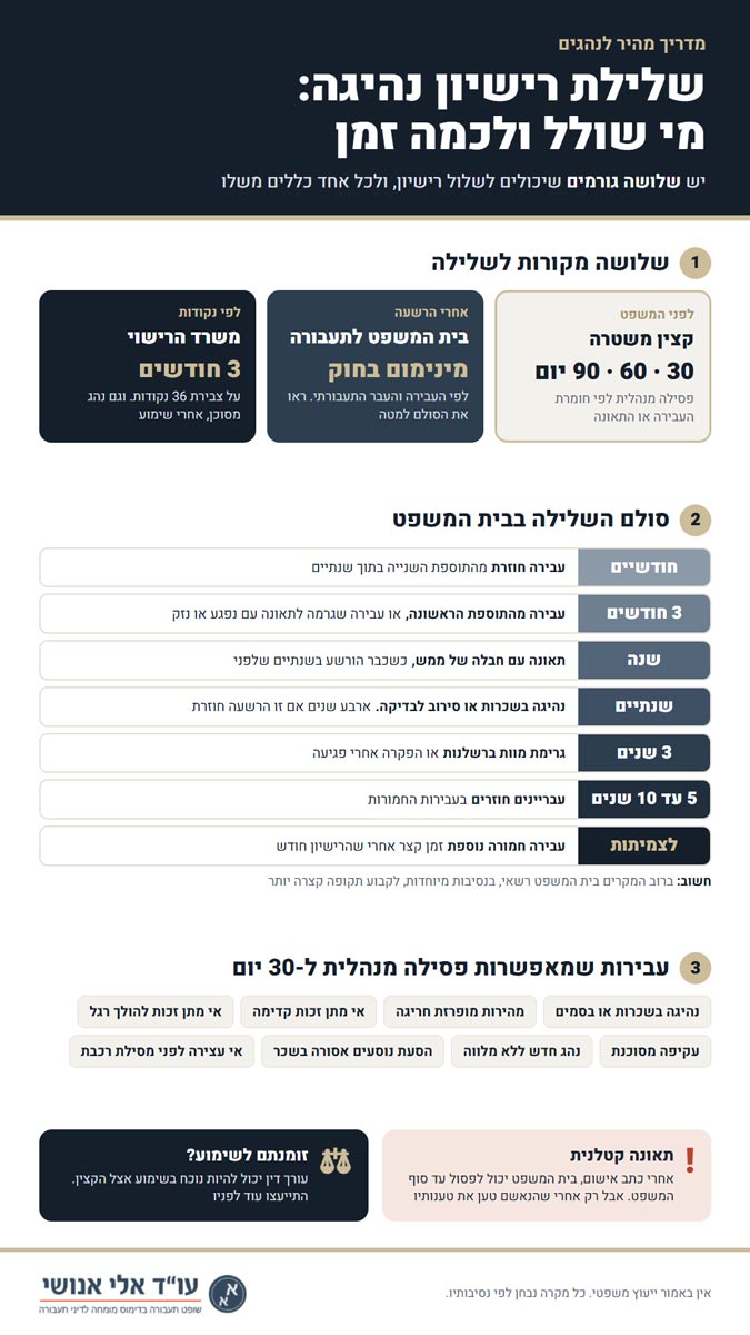 שלילת רישיון - אינפוגרפיקה