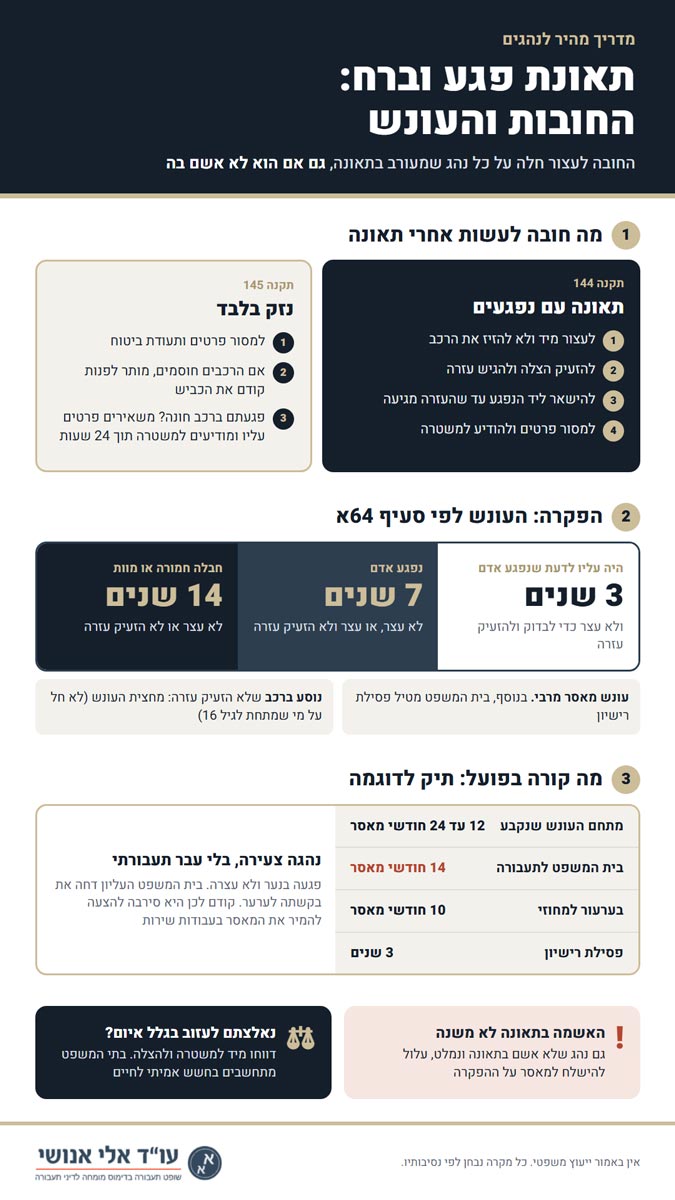 תאונת פגע וברח - אינפוגרפיקה